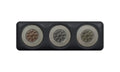 4 inch round triple LED combo lamp with stop, white Glow tail, indicator and reverse