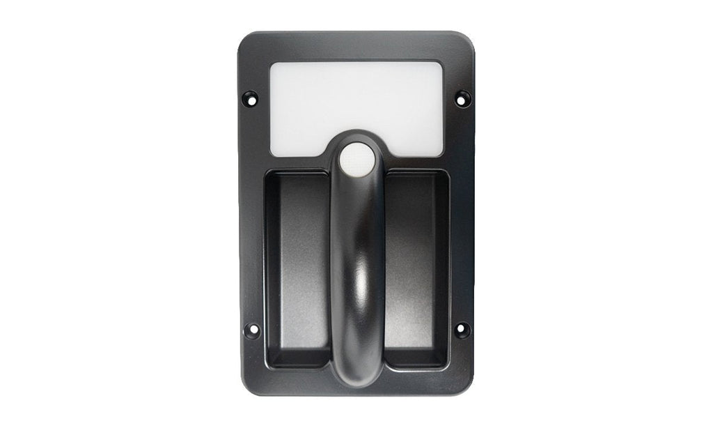 Grab handle lamp with white LED accent light