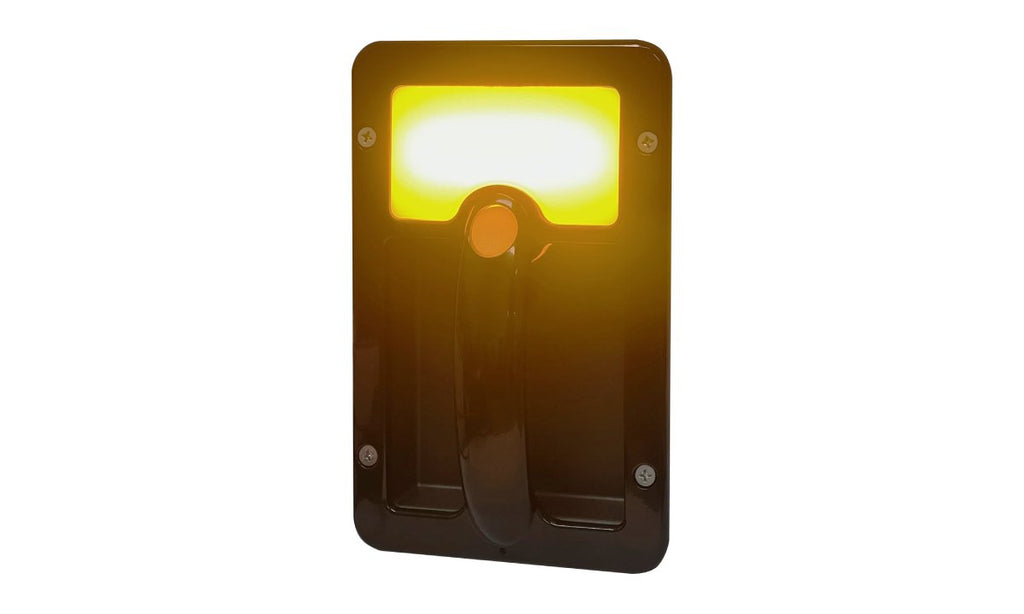 Grab handle lamp with amber LED accent light