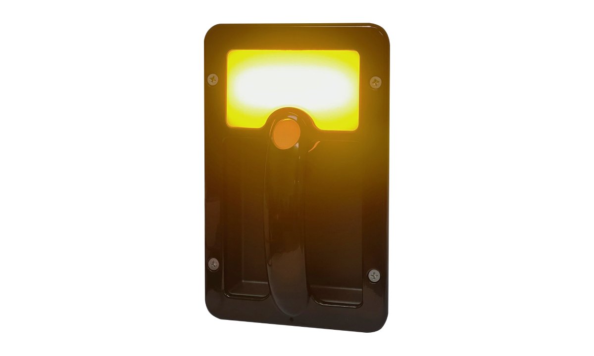 Grab handle lamp with amber LED accent light
