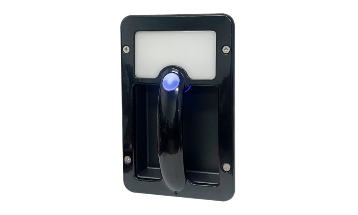 Grab handle lamp with white LED accent light
