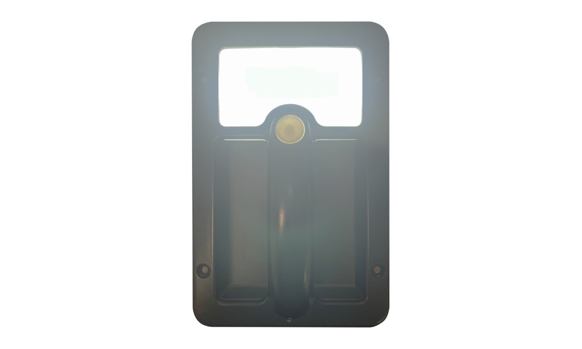 Grab handle lamp with white LED accent light